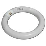 LAMPADA NEON TIPO CIRCOLINA 22W 1250LUM FREDDO