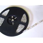 STRISCIA 5MT 300 LED SMD BIANCO FREDDO STAGNO