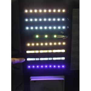 STRISCIA 5MT 300 LED SMD BIANCO FREDDO STAGNO