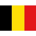 BANDIERA IN POLIESTERE 30X45CM BELGA