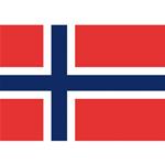 BANDIERA IN POLIESTERE 20X30CM NORVEGIA