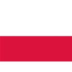 BANDIERA IN POLIESTERE 30X45CM POLONIA