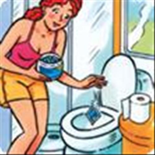 DISGREGANTE PER WC FLOW KEM SACHETS 15 BUST.